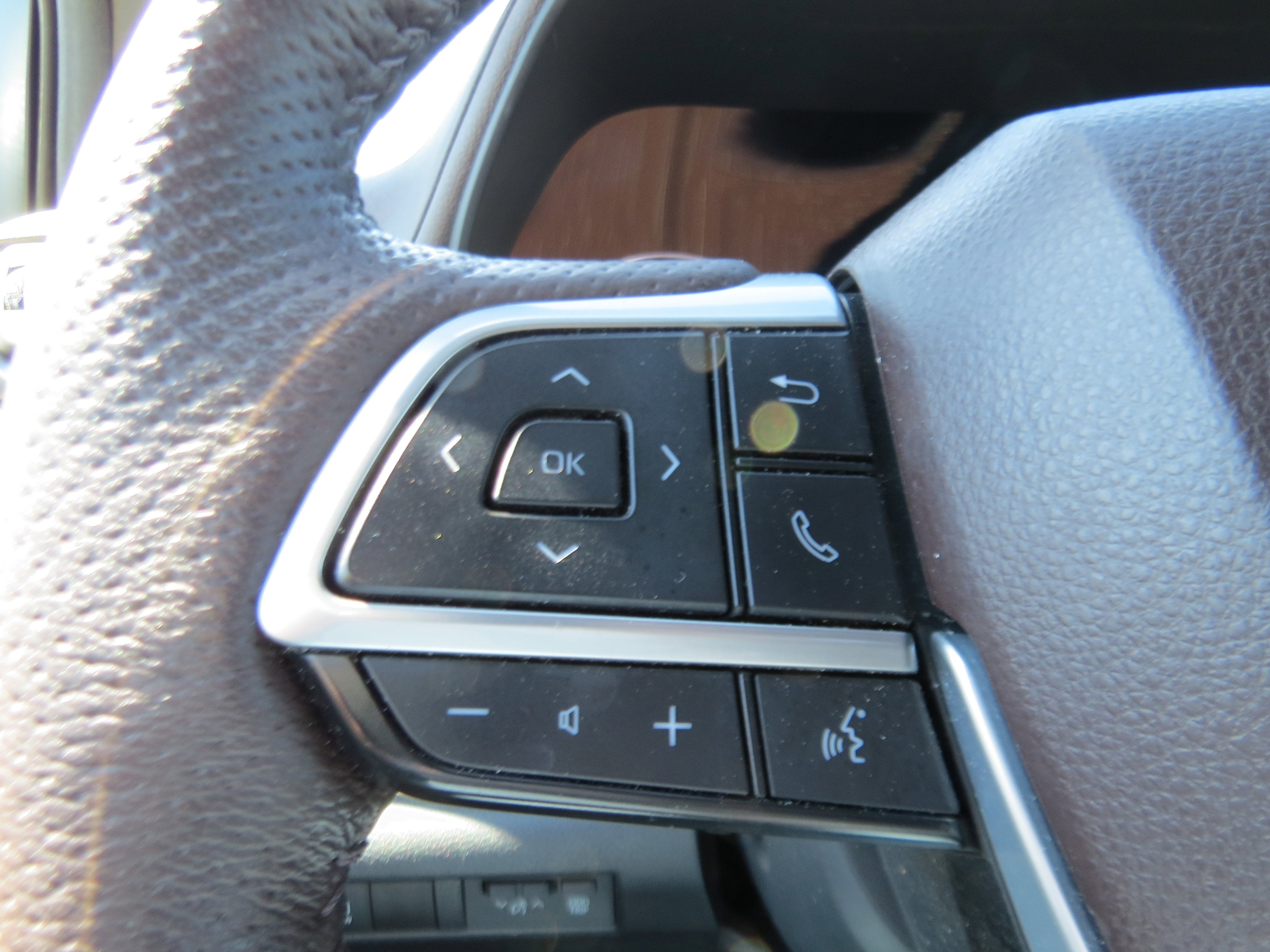 2024 Toyota Sienna Platinum